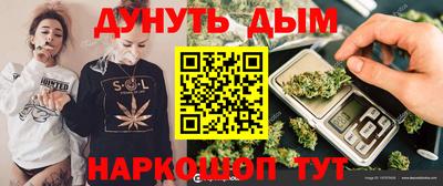 гидропоника Будённовск