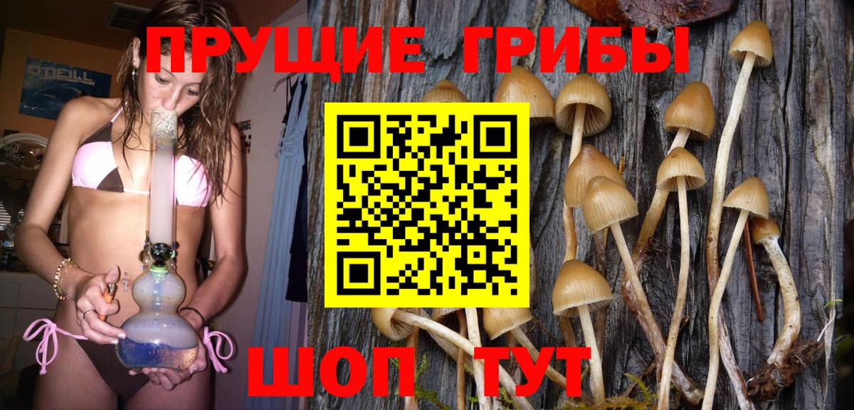 Галлюциногенные грибы Сердобск